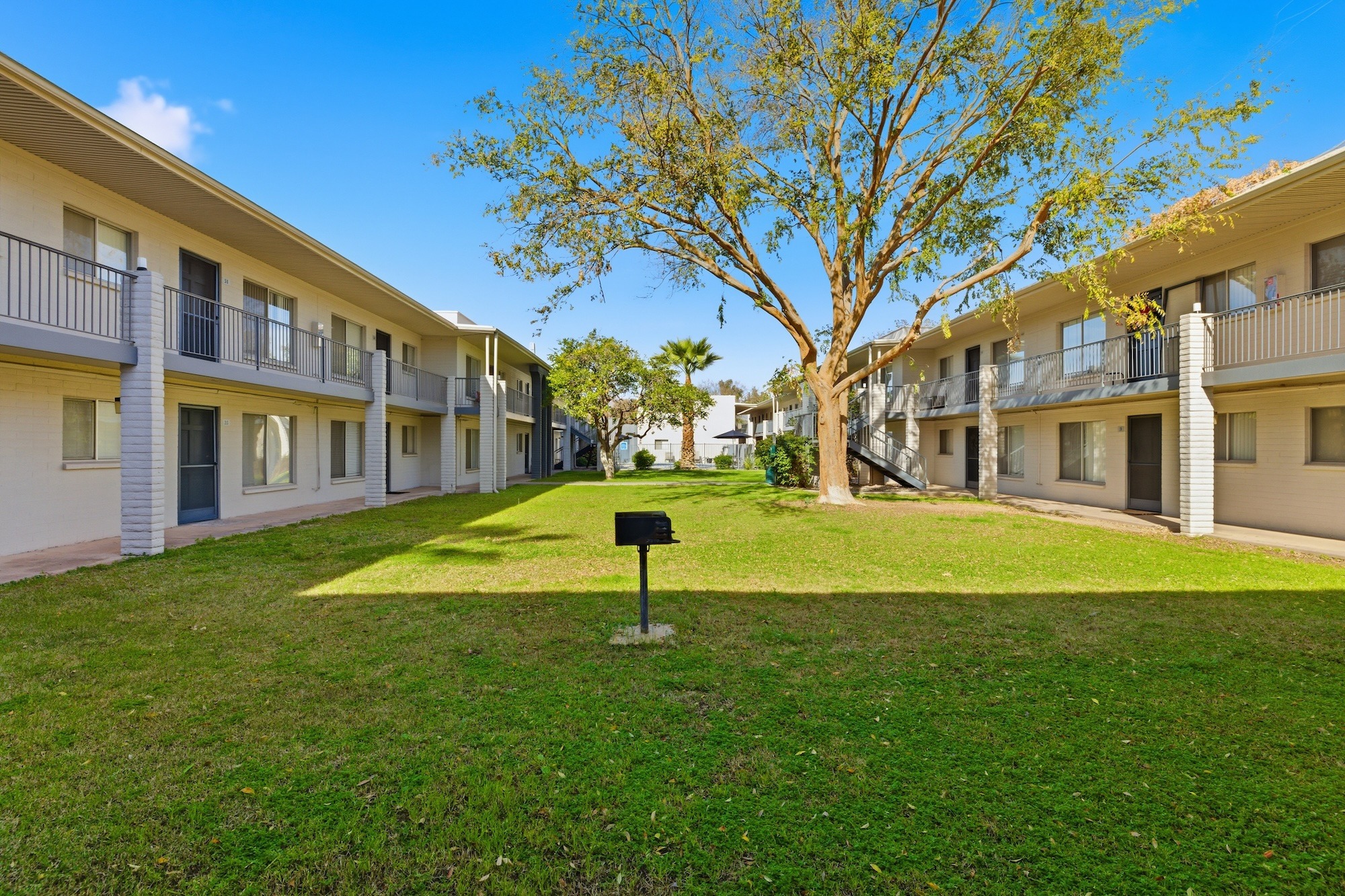 Green courtyard at the Downtown Mesa community